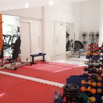 Mirrors_home-gym-4