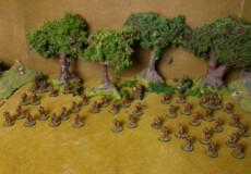 Sam Layzell 1st airborne division Arnhem Ossterbeek pocket